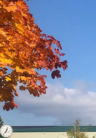 Die Zeit bleibt nicht stehen -  und die Blätter wehen!